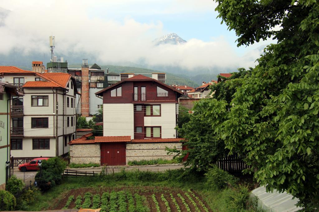 Guest House Sevda Banszko Kültér fotó